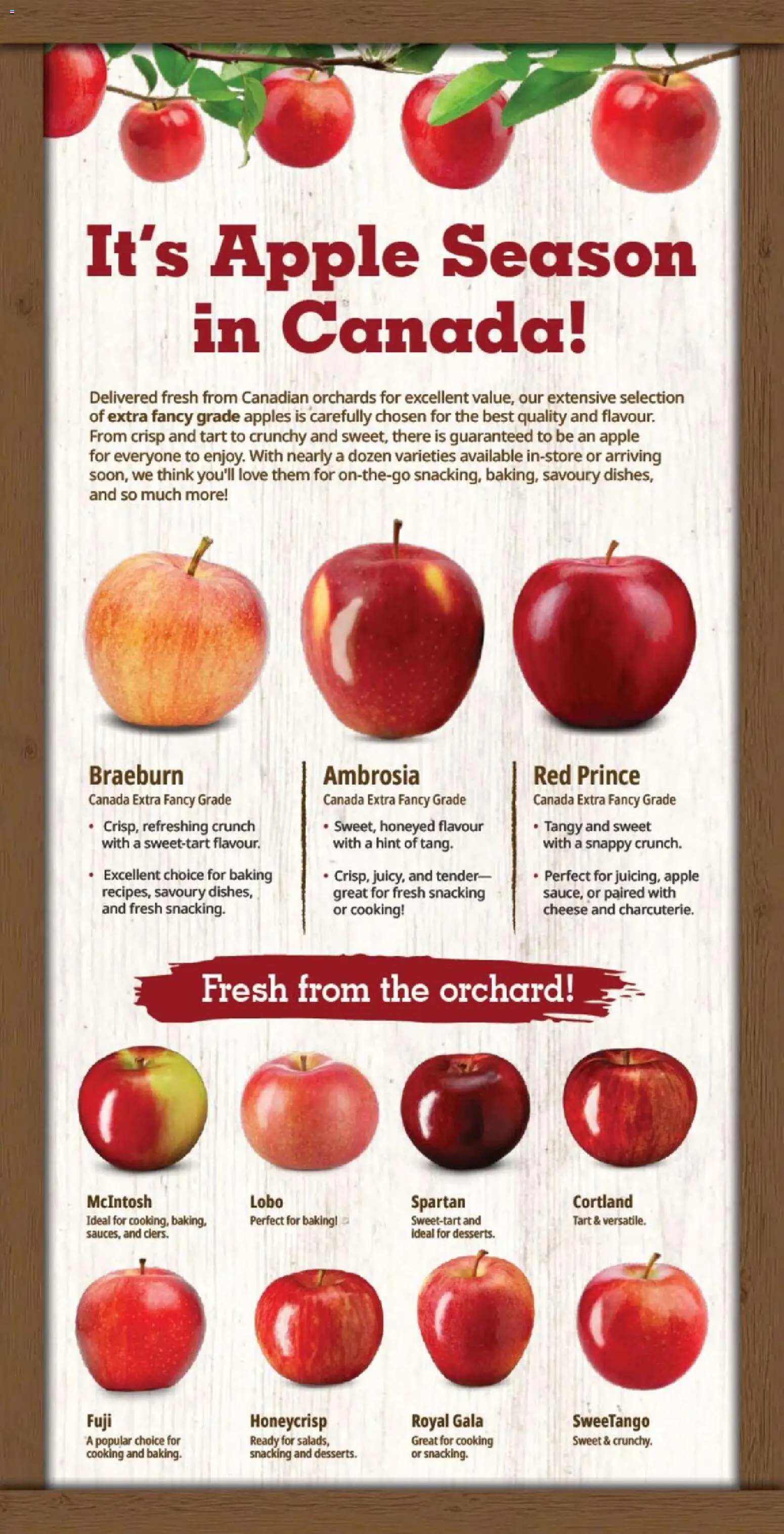 Farm Boy flyer valid from Sep 17, 2026 | Page: 7 | Products: Cheese, Apples