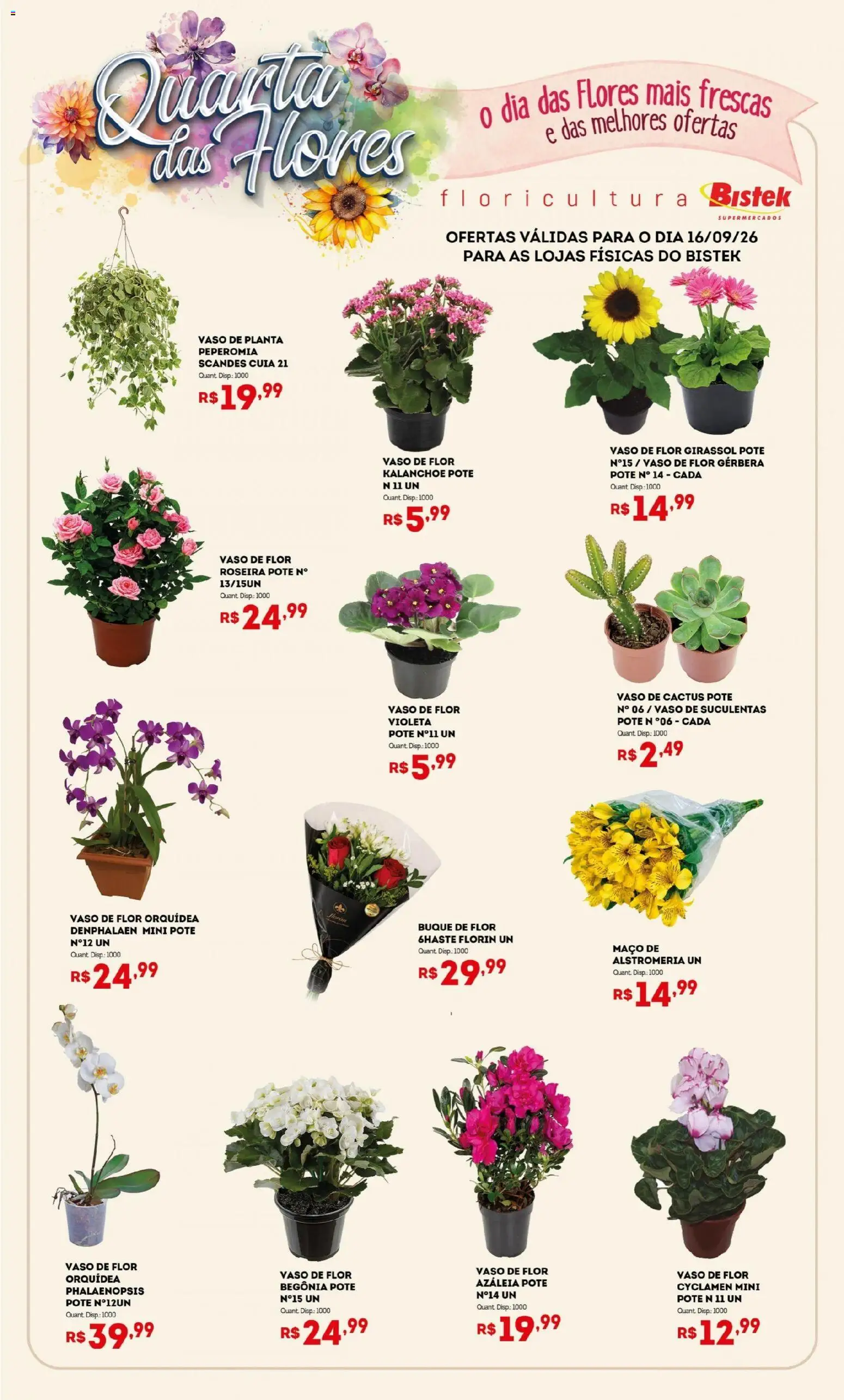Bistek Supermercados Folheto - válido de 16/09/2026 | Página: 1 | Produtos: Denphalaen, Orquídea, Flores, Gerbera