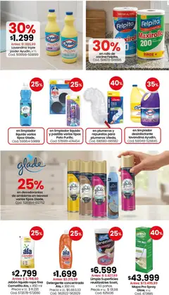 Vista previa en limpiador desinfectante lavandina Ayudín,, en limpiador desinfectante lavandina Ayudín válido desde el 21/09/2026 | Página: 2 | Productos: Cocina, Jabón líquido, Detergente, Limpiador