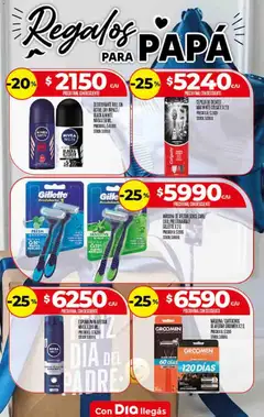 Vista previa Supermercado DIA Ofertas válido desde el 17.06.2026 | Página: 11