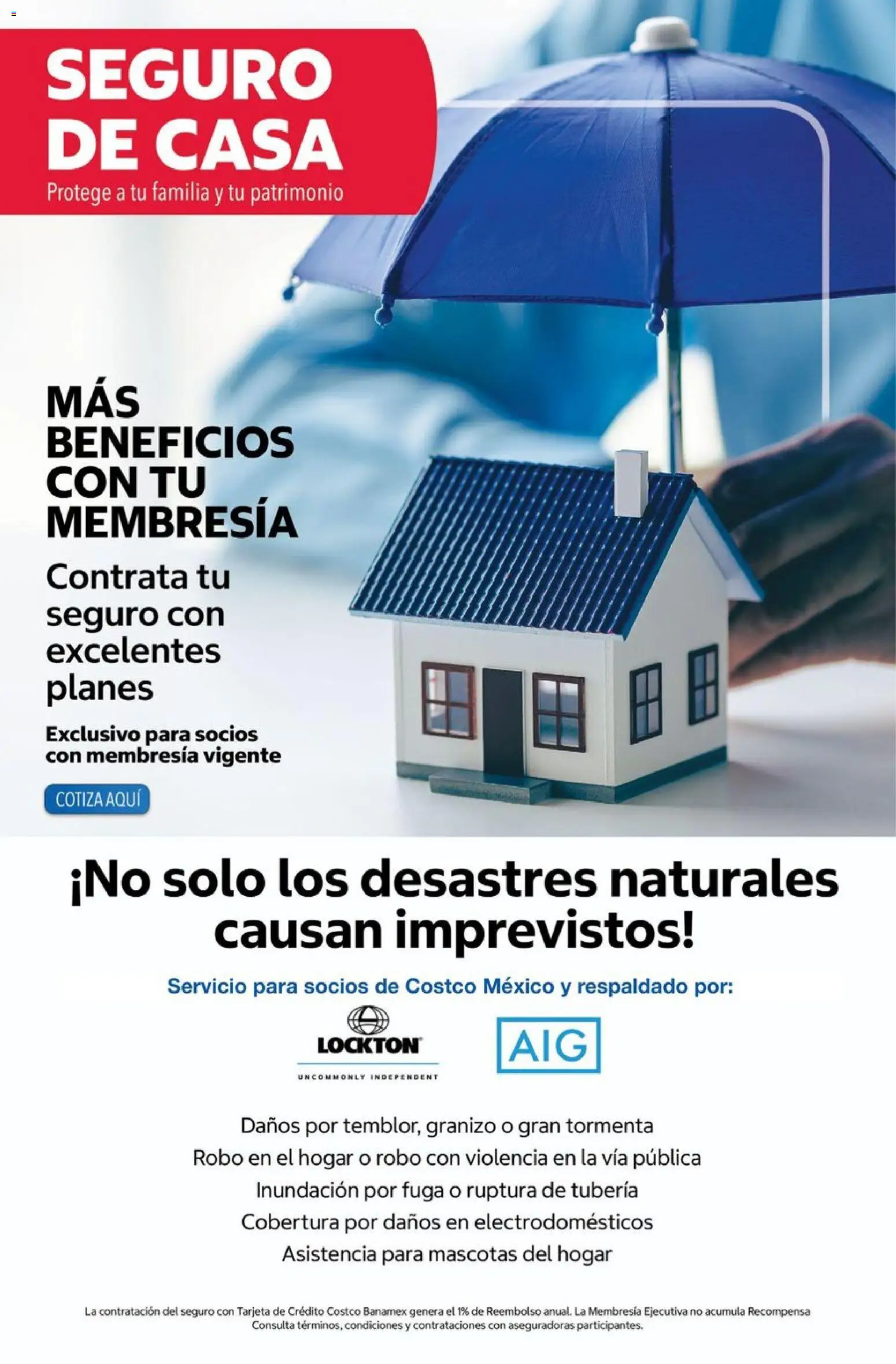 Nuevas ofertas de Costco válidas en toda la República Mexicana desde el 01/10/2026. ¡Encuentra las mejores ofertas en Costco catálogo Octubre! | Página: 107