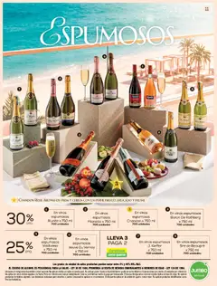 Jumbo catálogo VENDIMIA -  Vista previa de la revista de la tienda Jumbo valido desde el 10/09/2026 | Página: 11