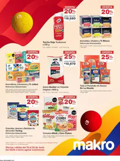 Makro catálogo -  Vista previa de la revista de la tienda Makro valido desde el 19/06/2026 | Página: 24