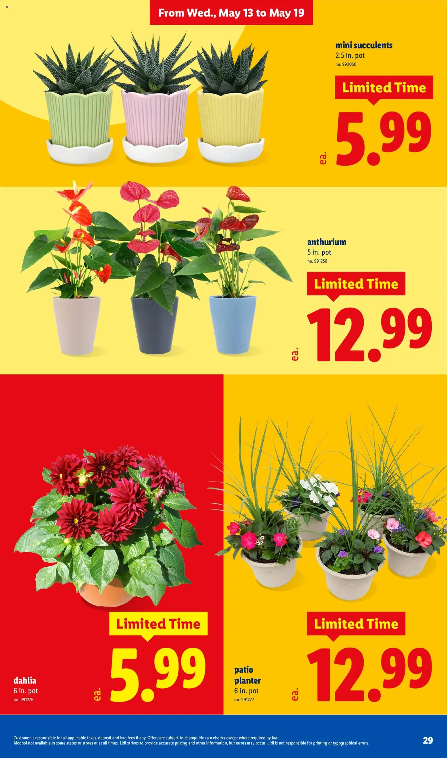 Lidl Weekly Ad - valid from 13.05.2026 | Page: 29