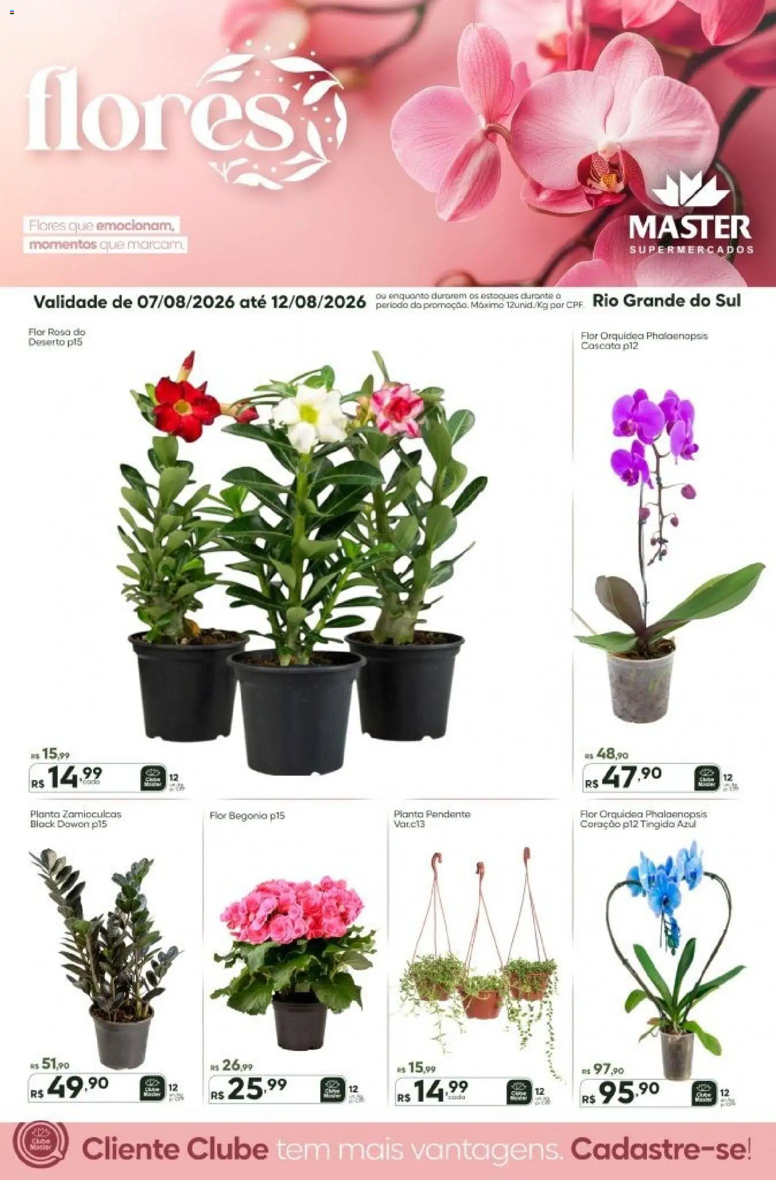 Master Folheto - válido de 07/08/2026 | Página: 1 | Produtos: Orquídea, Flores
