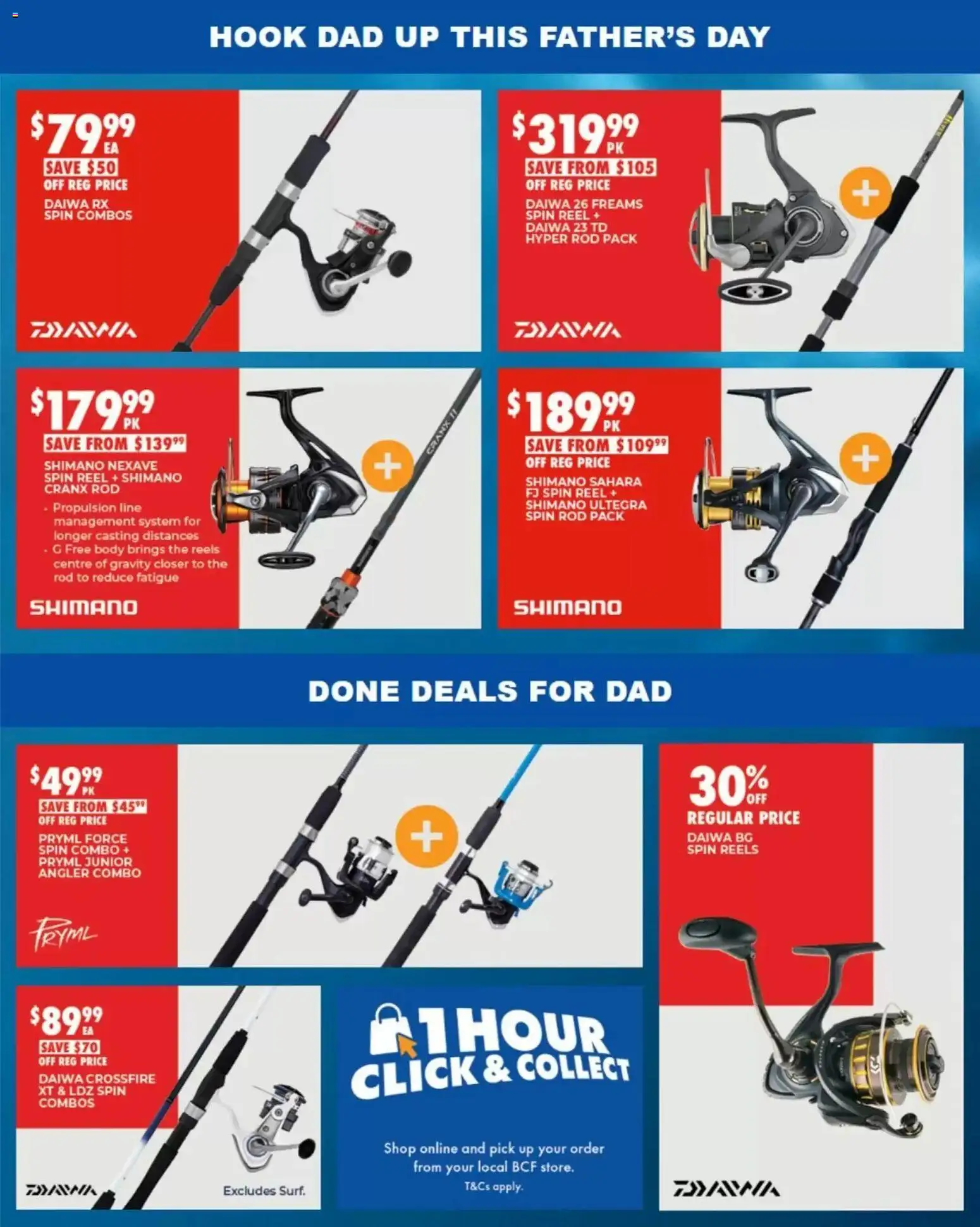 BCF catalogue - valid from 17/08/2026 | Page: 12