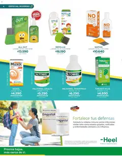 Cruz Verde Ofertas  válido desde el 01.05.2026 | Página: 6 | Productos: Loción, Peine