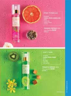 Vista previa de JAFRA catálogo Organizador de Ventas, nuevo folleto de la tienda, válido en México a partir del 01.02.2026 | Página: 153 | Productos: Kiwi, Fragancia, Jarra