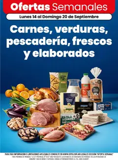 Vista previa Coto - Ofertas válido desde el 14/09/2026