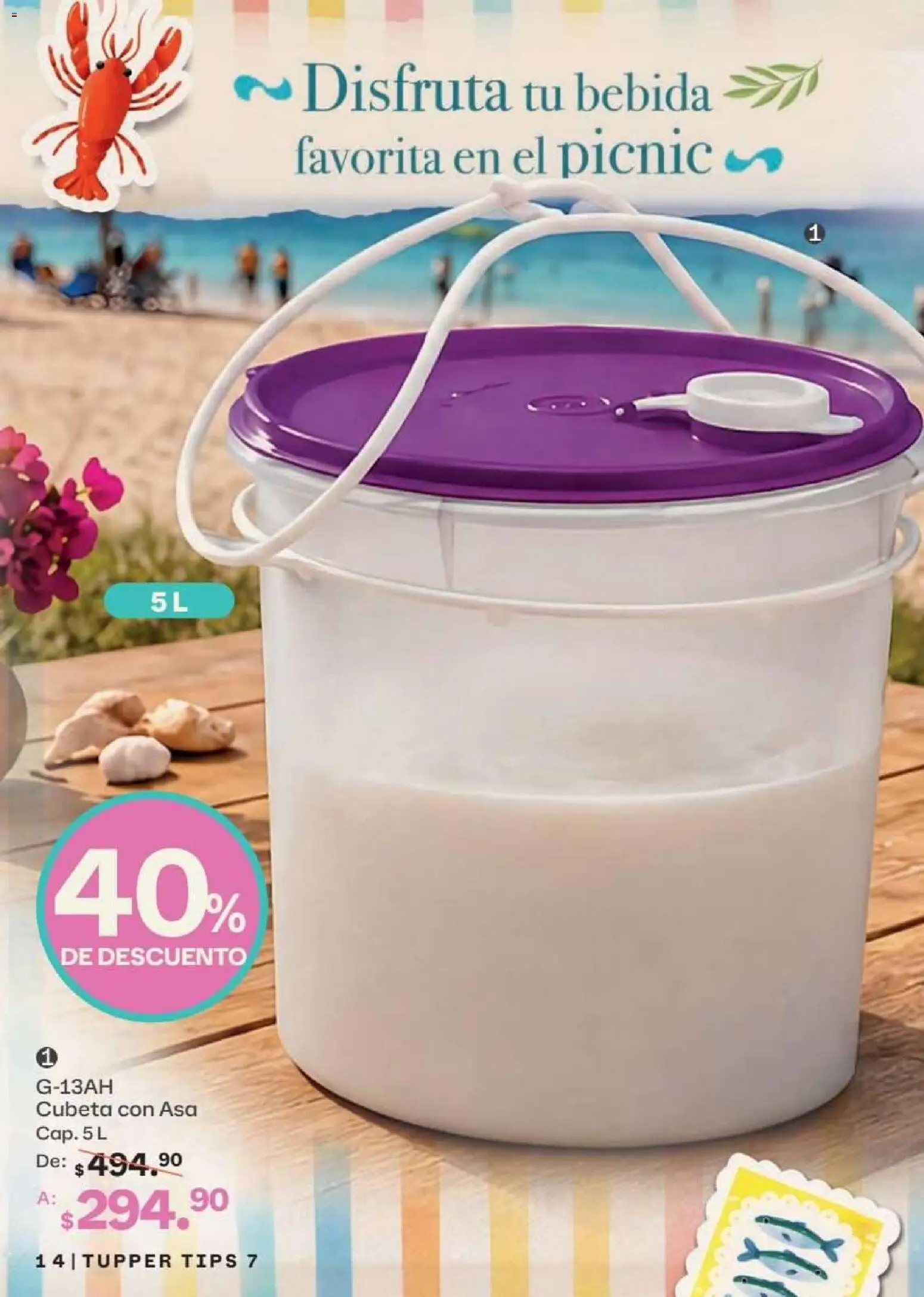 Nuevas ofertas de Tupperware válidas en toda la República Mexicana desde el 15.06.2026. ¡Encuentra las mejores ofertas en Tupperware catálogo! | Página: 14