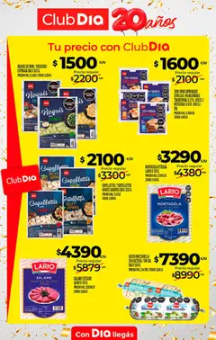 Vista previa NOGUIS DE PAPA / TRICOLOR / ESPINACA DIA X 500 G., Noguis de papa, tricolor y espinaca válido desde el 09/09/2026 | Página: 25