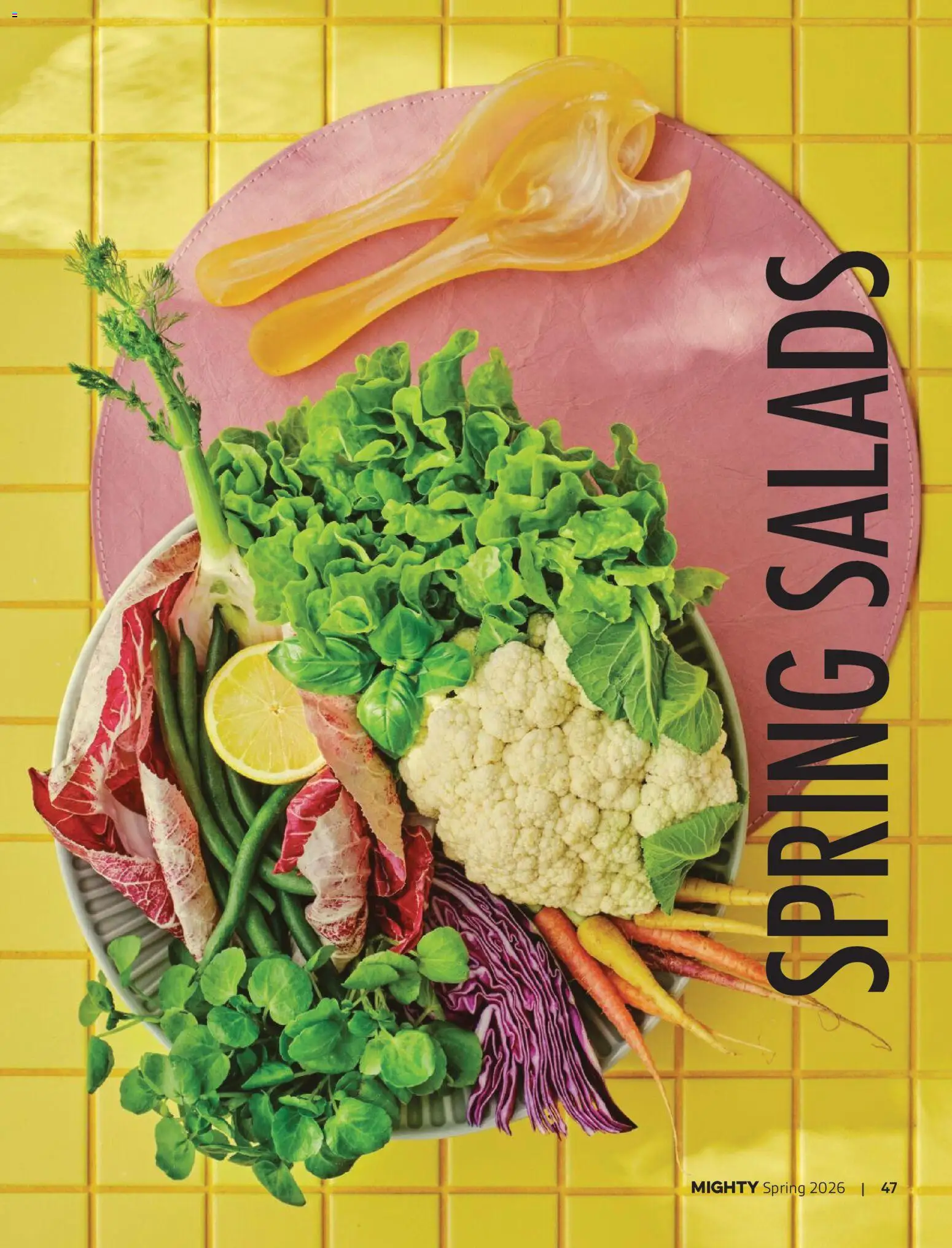 Foodland catalogue - valid from 01/09/2026 | Page: 47
