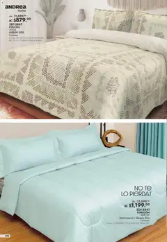 Vista previa de Andrea catálogo Outlet, nuevo folleto de la tienda, válido en México a partir del 26/07/2026 | Página: 490 | Productos: Almohada, Té