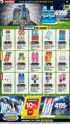 Vista previa Yaguar catálogo válido desde el 08.06.2026 | Página: 18 | Productos: Frutilla, Desodorante, Enjuague bucal, Crema