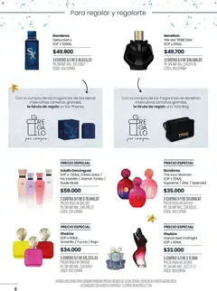 Vista previa Pigmento catálogo válido desde el 02.06.2026 | Página: 8 | Productos: Té