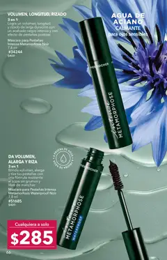 Vista previa de Yves Rocher campaña 7 2026, nuevo folleto de la tienda, válido en México a partir del 12.05.2026 | Página: 68 | Productos: Máscara, Agua, Pestañas postizas