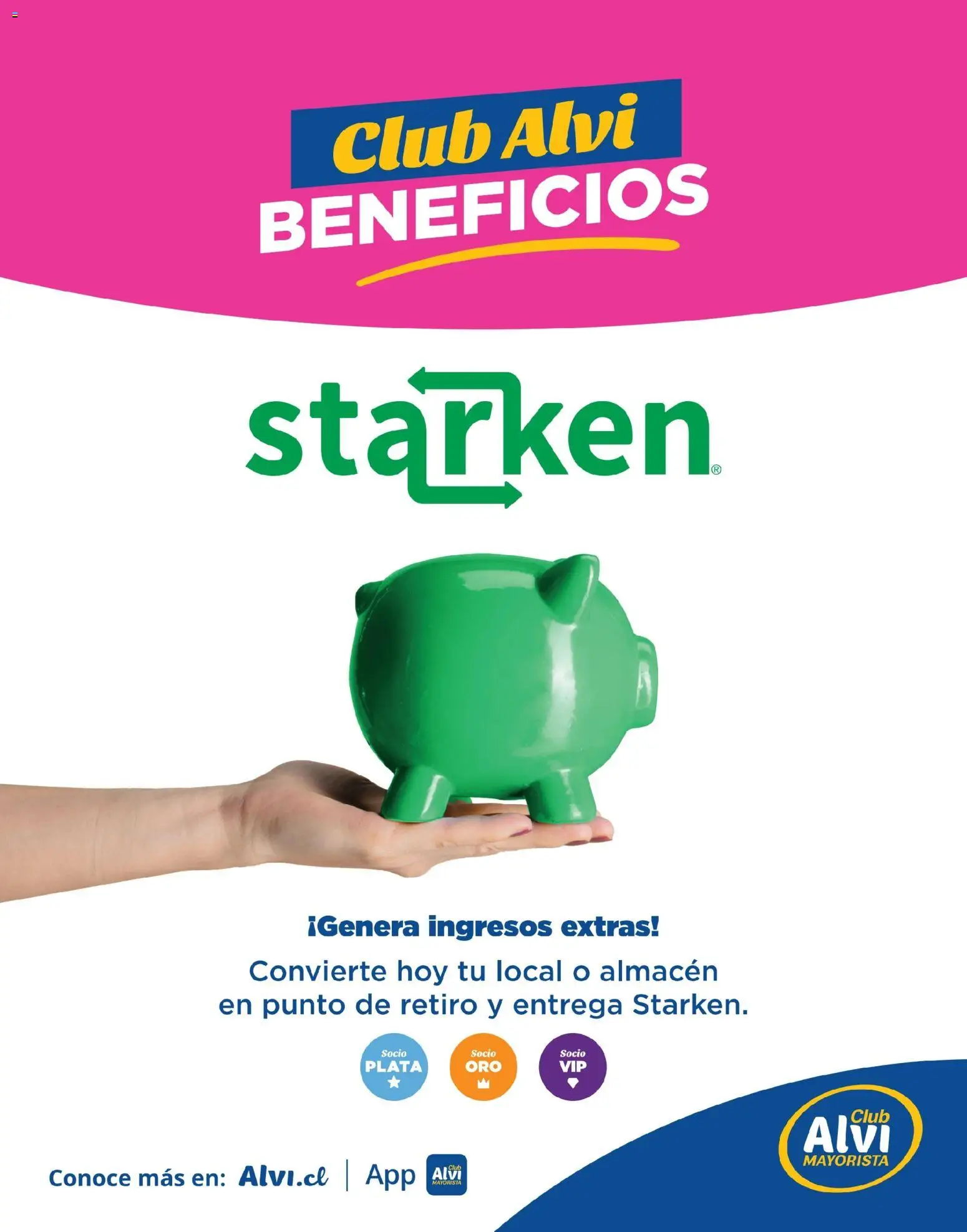 Alvi catálogo │ válido desde el 23.06.2026 | Página: 12