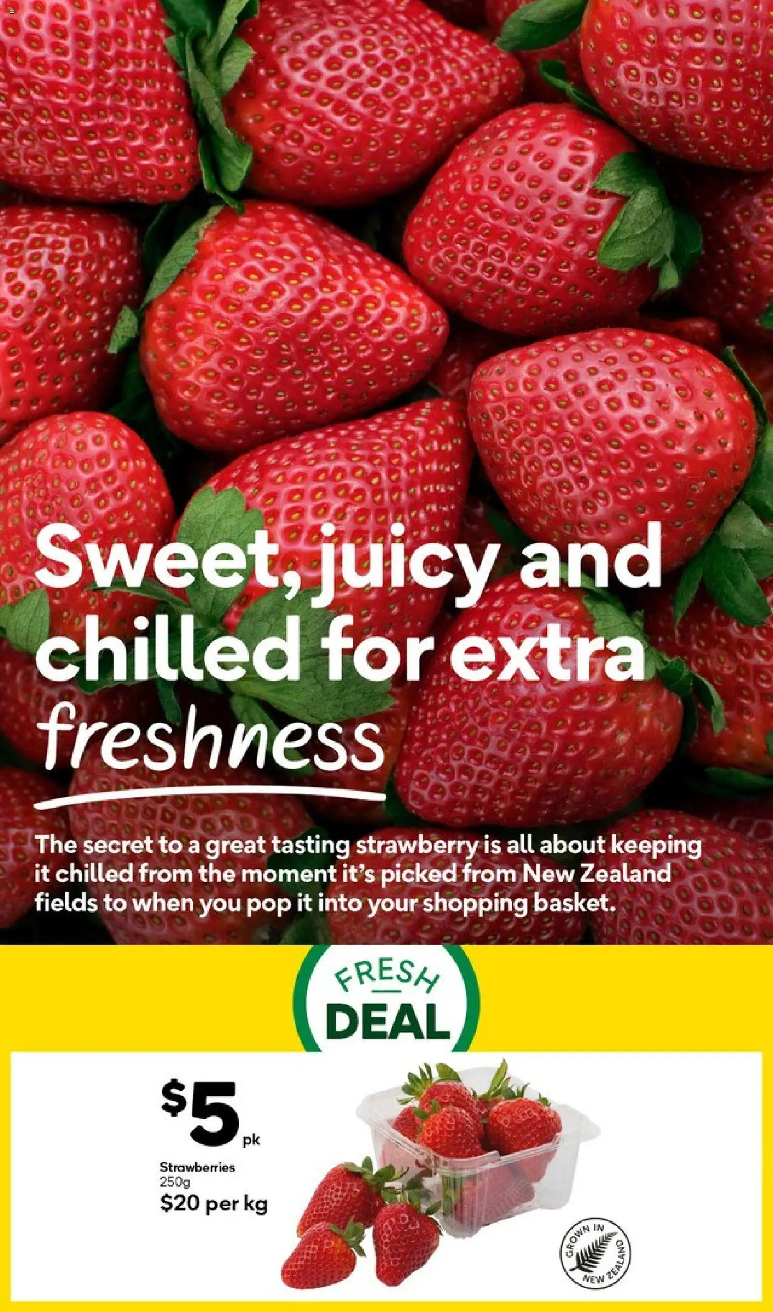 Woolworths catalogue from 26 Oct 2026 | Page: 9