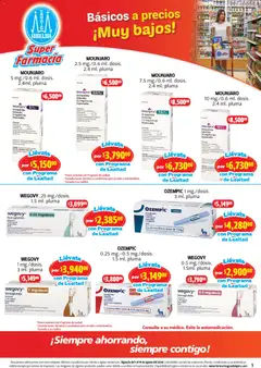 Vista previa de Farmacia Guadalajara catálogo, nuevo folleto de la tienda, válido en México a partir del 01/08/2026