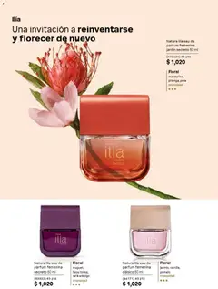 Vista previa de Natura campaña 12 2026, nuevo folleto de la tienda, válido en México a partir del 31/07/2026 | Página: 43