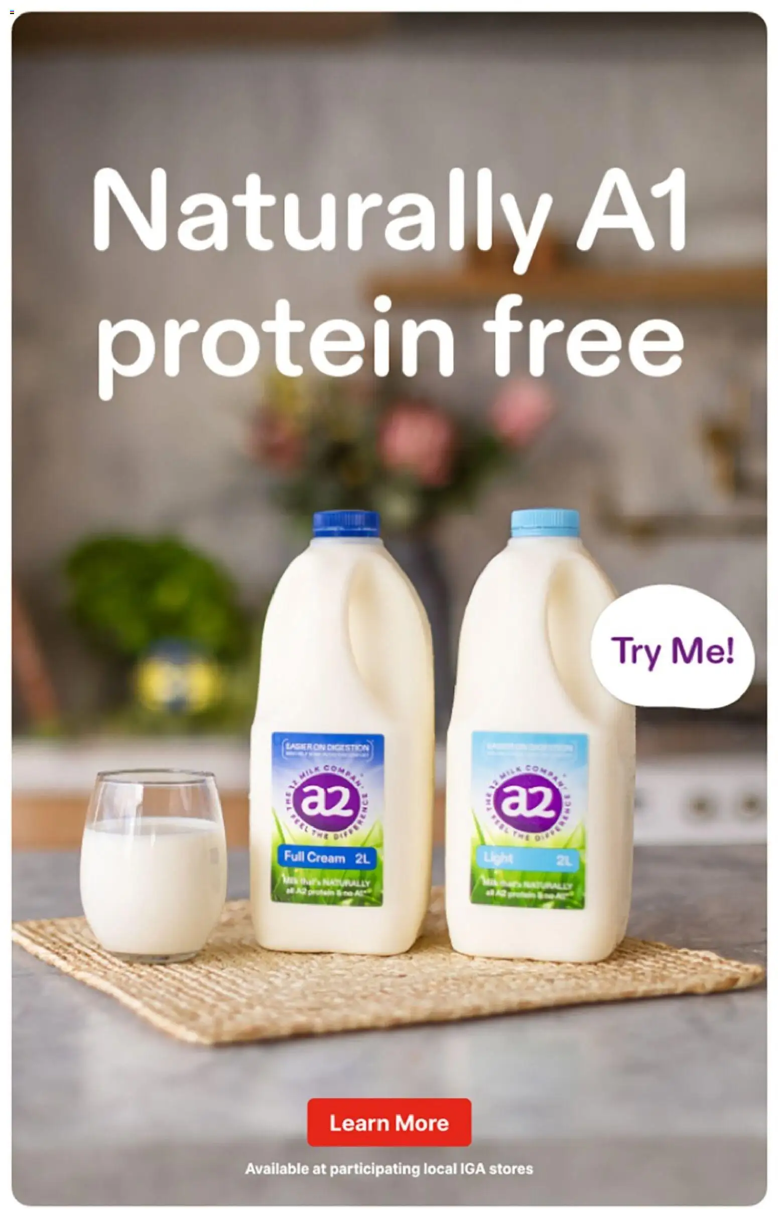 IGA catalogue - valid from 14/10/2026 | Page: 22
