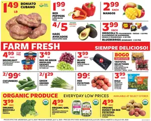 Preview of Sedano's weekly ads valid from 07/08/2026 | Page: 2 | Products: Broccoli, Peppers, Salad, Bag