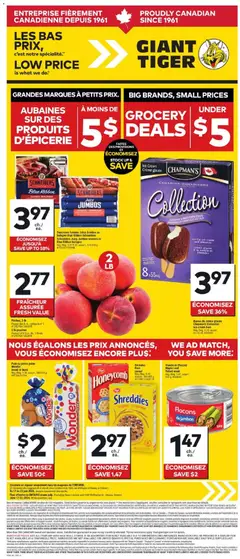 Preview of Giant Tiger Circulaire from shop Giant Tiger valid from 17.06.2026