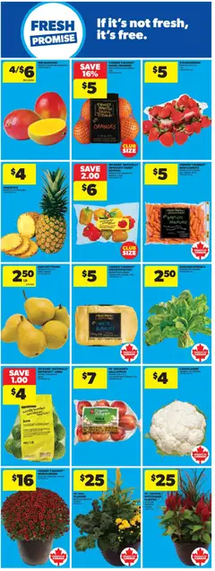 Preview of Real Canadian Superstore weekly flyer / circulaire from shop Real Canadian Superstore valid from Aug 27, 2026 | Page: 16