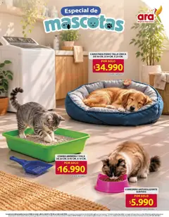 Ara catálogo -  Vista previa de la revista de la tienda Ara valido desde el 01/10/2026 | Página: 14 | Productos: Sobre, Coco, Espuma de afeitar, Desinfectante