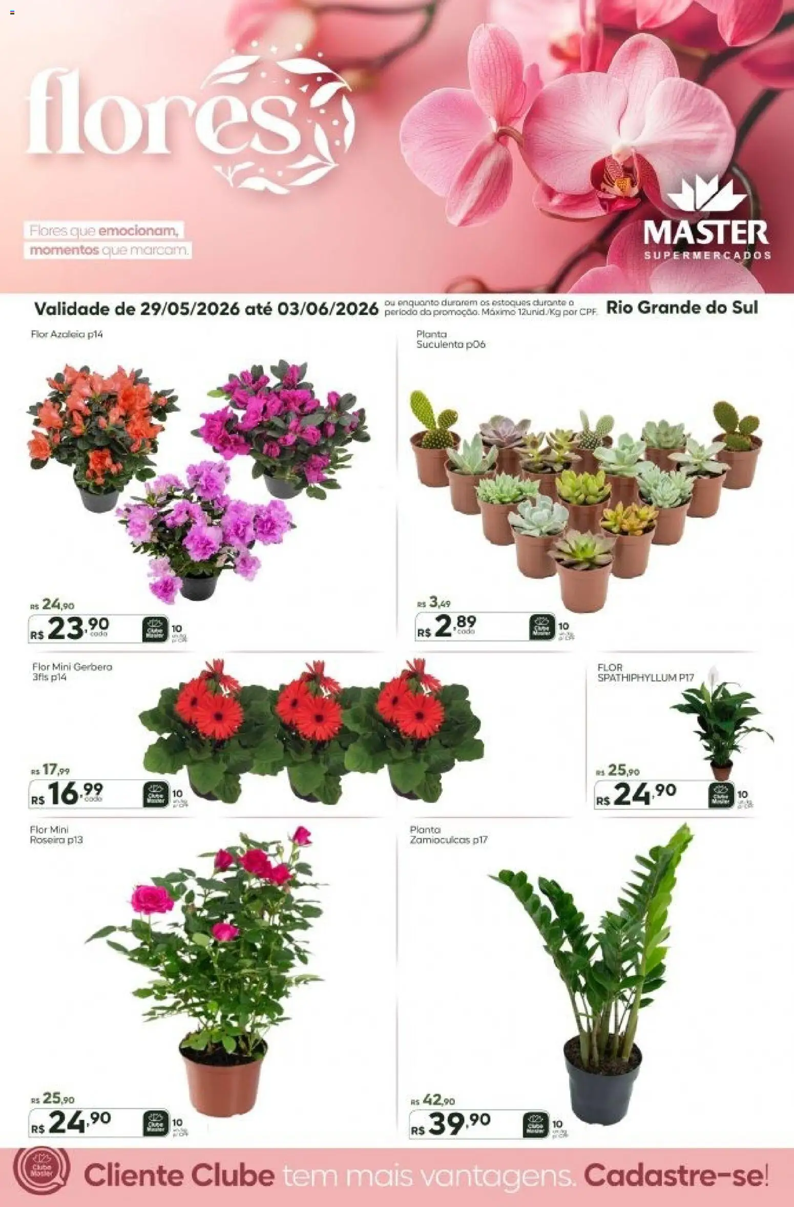 Master Folheto - válido de 29.05.2026 | Página: 1 | Produtos: Flores