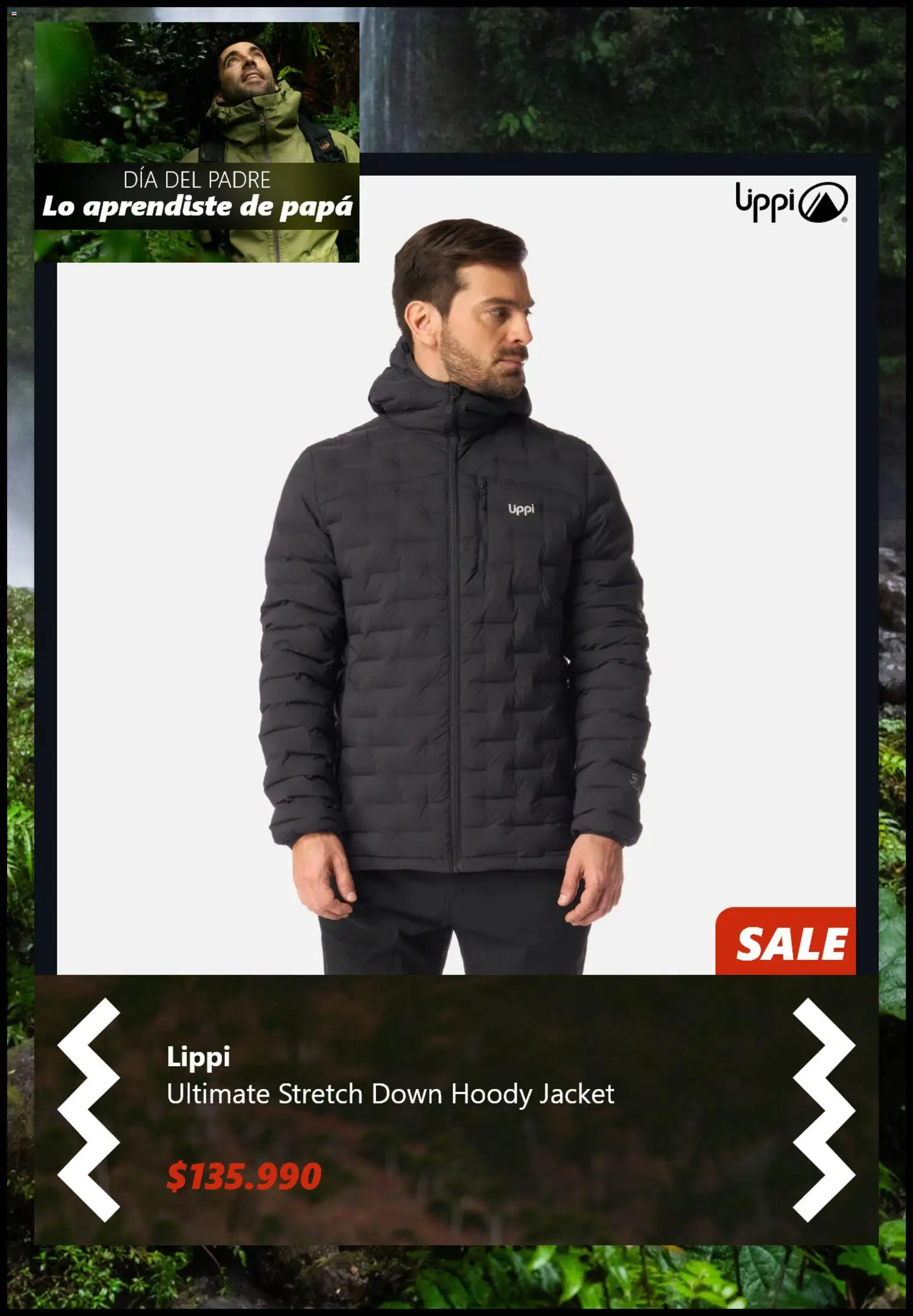 Lippi Ofertas │ válido desde el 11.06.2026 | Página: 2 | Productos: Papa