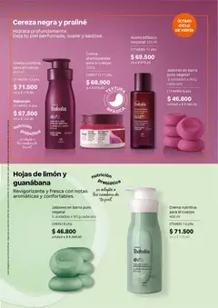 Natura catálogo ciclo 12 -  Vista previa de la revista de la tienda Natura valido desde el 22/07/2026 | Página: 120 | Productos: Crema, Guanábana, Limón, Aceite
