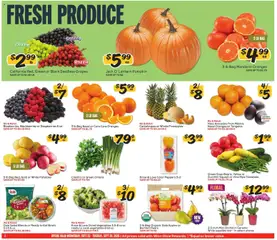 Preview of Winn Dixie weekly ads valid from 09/23/2026 | Page: 2