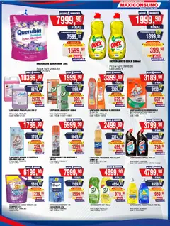 Vista previa Maxiconsumo ofertas válido desde el 31/08/2026 | Página: 24