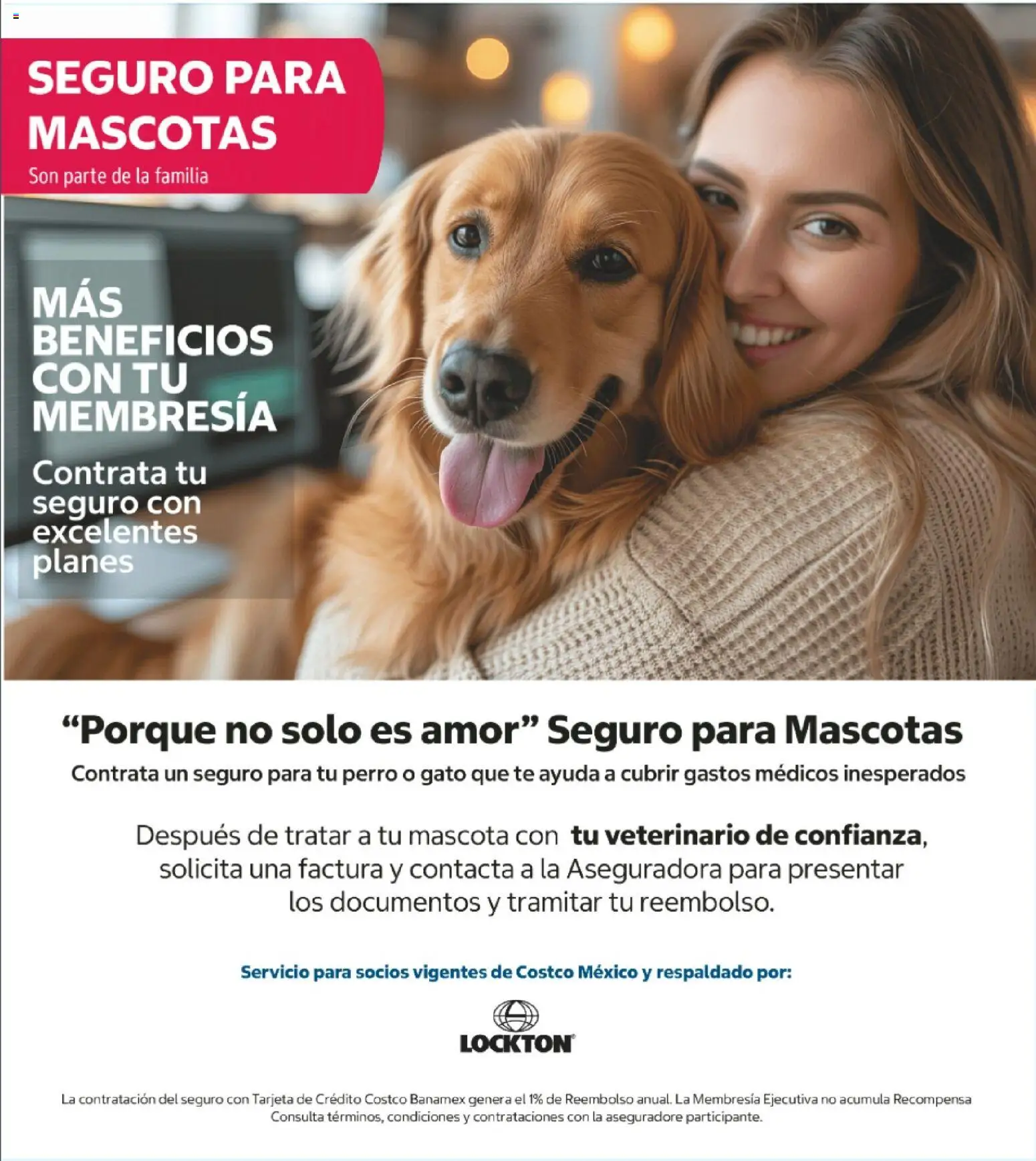 Nuevas ofertas de Costco válidas en toda la República Mexicana desde el 11.05.2026. ¡Encuentra las mejores ofertas en Costco catálogo! | Página: 8 | Productos: Té