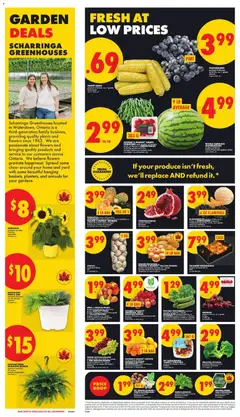 Preview of No Frills weekly flyer / circulaire from shop No Frills valid from 28.05.2026 | Page: 2
