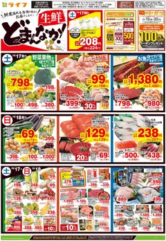 2026/10/17から有効なオファーを含む ライフ 世田谷区 - 10/17号 生鮮どまんなか！