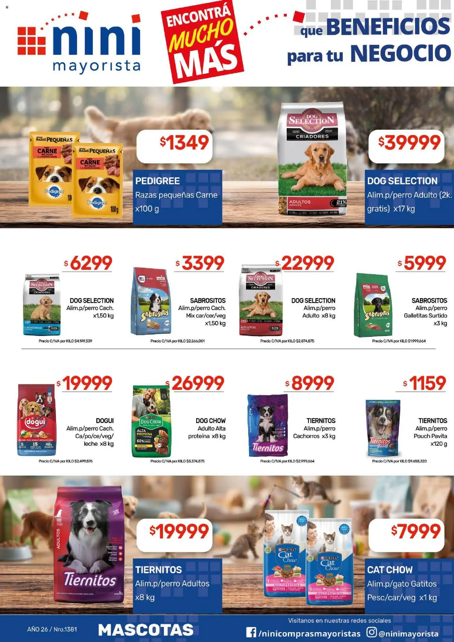 NINI Mayorista catálogo │ válido desde el 12/10/2026 | Página: 53