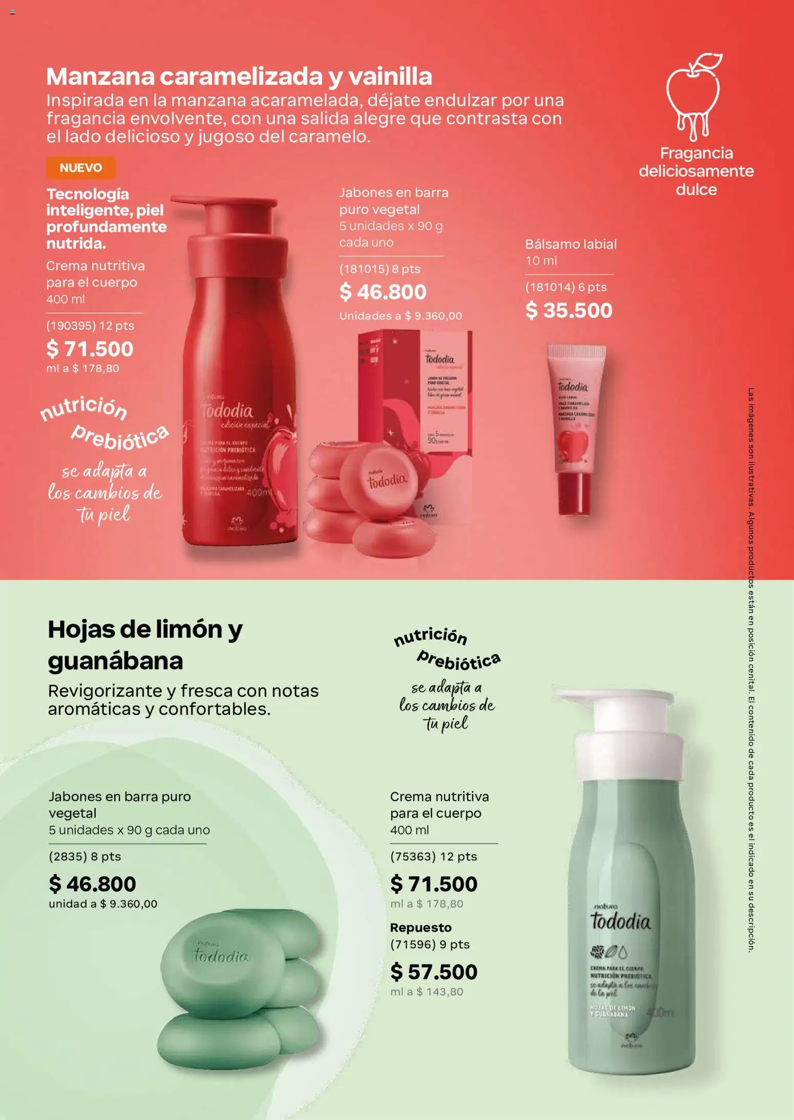 Natura revista - valida desde el 13/08/2026 | Página: 140