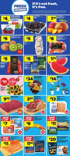 Preview of Atlantic Superstore weekly flyer / circulaire from shop Atlantic Superstore valid from Jul 9, 2026 | Page: 3 | Products: Salad, PC, Chicken, Apples