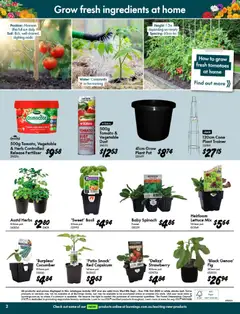 Preview of Bunnings Warehouse - Spring Starts Here Kent Town - valid from 09/09/2026 | Page: 2