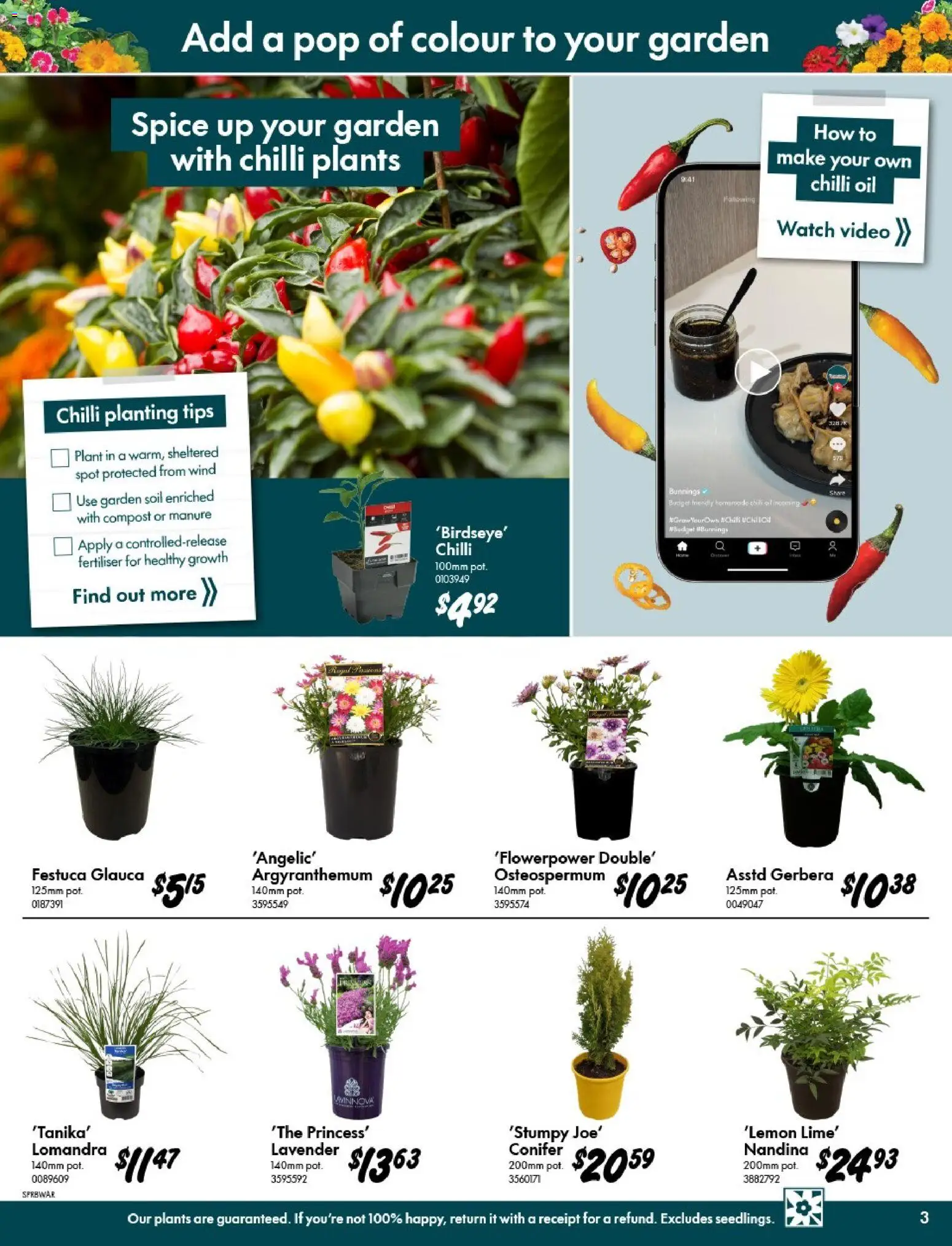 Bunnings Warehouse catalogue - valid from 09/09/2026 | Page: 3