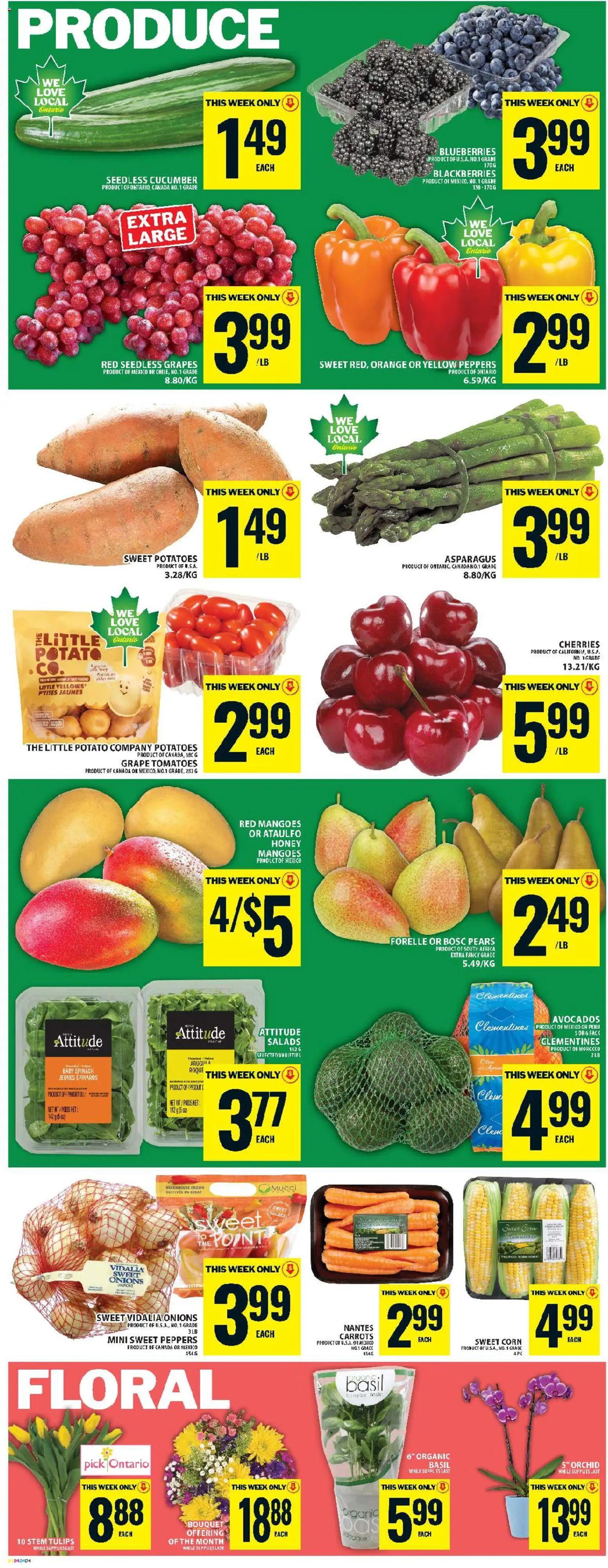 Food Basics flyer valid from 14.05.2026 | Page: 6