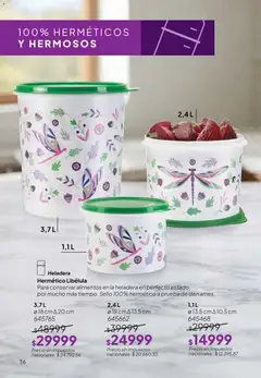 Vista previa Tupperware Folleto válido desde el 02.06.2026 | Página: 37 | Productos: Heladera