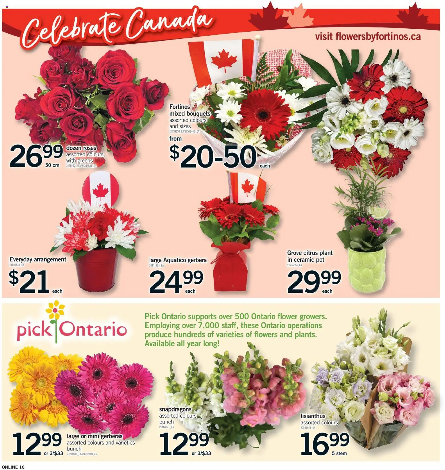 Fortinos flyer valid from Jun 25, 2026 | Page: 16