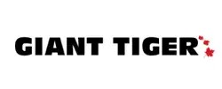 Giant Tiger flyer