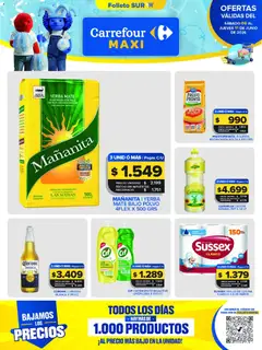 Vista previa Carrefour Maxi catálogo válido desde el 06.06.2026