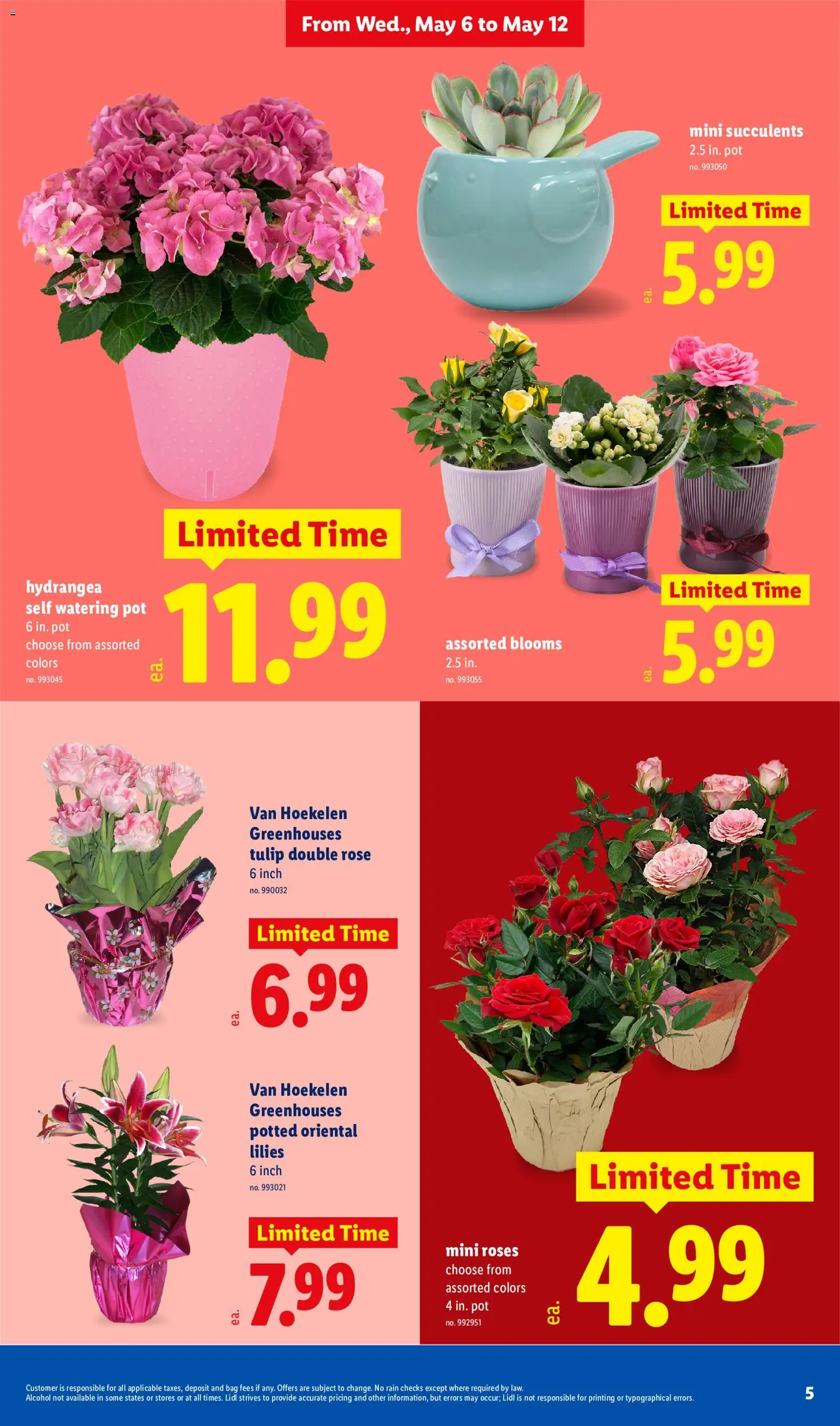 Lidl Weekly Ad - valid from 06.05.2026 | Page: 5 | Products: Bag