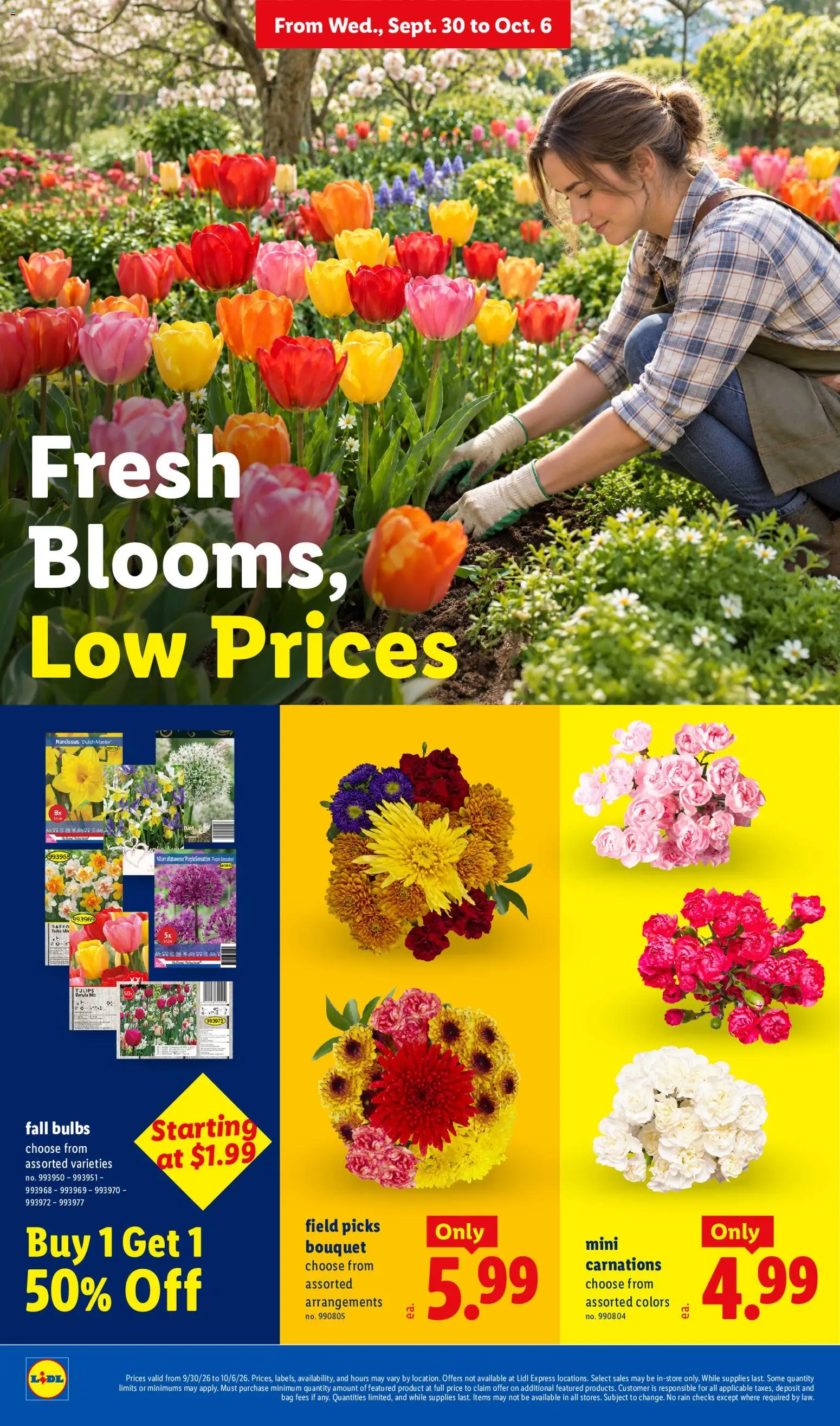 Lidl Weekly Ad - valid from 09/30/2026 | Page: 24