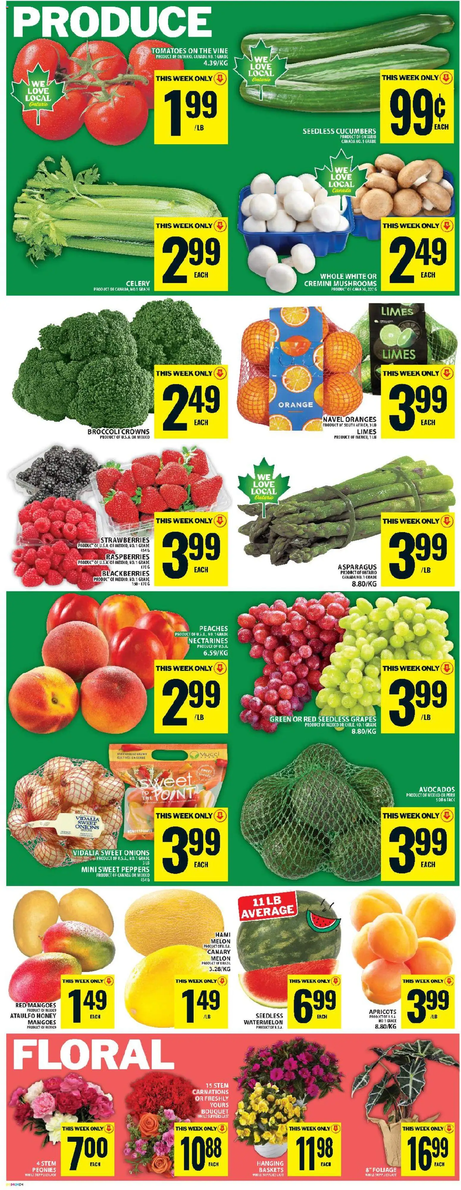 Food Basics flyer valid from 04.06.2026 | Page: 7